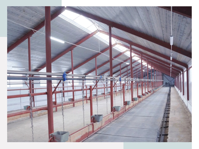 Строительство коровников в Карасук от 609 руб.