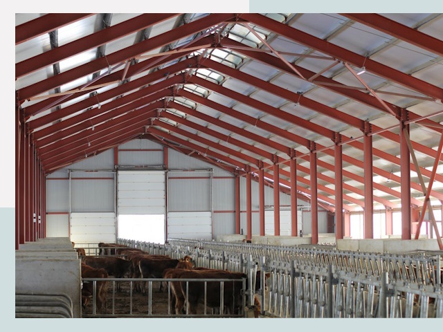 Строительство коровников в Карасук