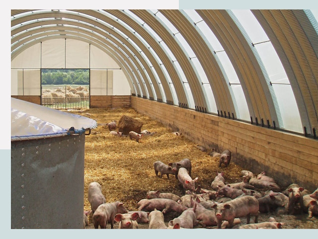 Строительство свинарников в Карасук