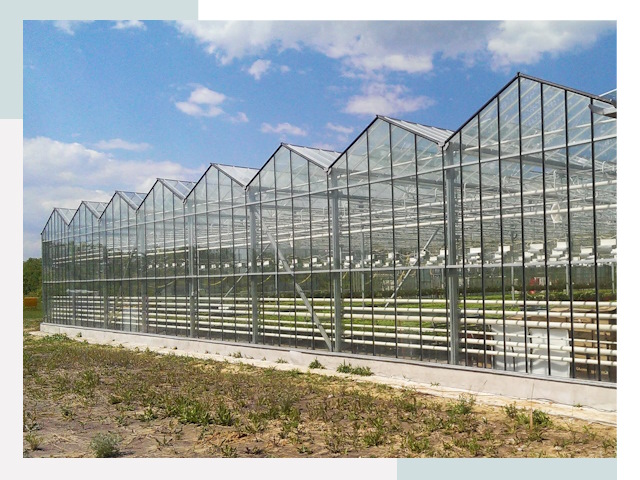 Строительство теплиц в Карасук от 609 руб. за м²