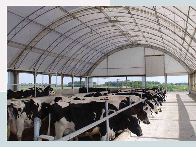 Тентовые коровники в Карасук